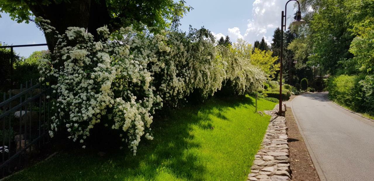 Ferienwohnung Am Schweriner See Raben Steinfeld Экстерьер фото